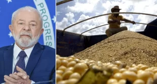 Agro brasileiro ganhará mais espaço na China após tarifas contra os EUA