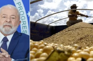 Agro brasileiro ganhará mais espaço na China após tarifas contra os EUA