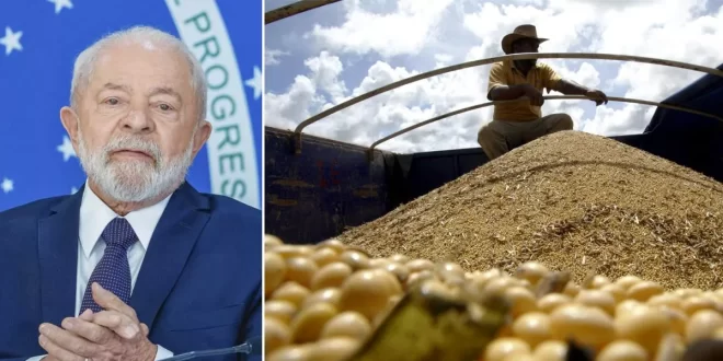 Agro brasileiro ganhará mais espaço na China após tarifas contra os EUA