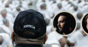 Evidências sobre relação entre Bukele e crime organizado desmente “guerra às gangues” em El Salvador