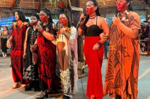 Mostra Txai Amazônia reúne mais de 160 artistas amazônicos