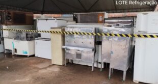 Governo promove leilão eletrônico com lances a partir de R$ 10