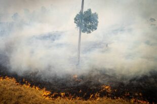 Queimadas: impacto da fumaça durante décadas pode reduzir em anos a expectativa de vida no Acre