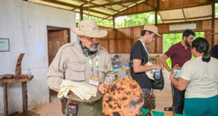 Participantes da GCF fazem imersão na história, floresta e desenvolvimento sustentável