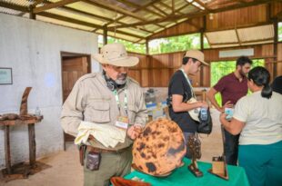 Participantes da GCF fazem imersão na história, floresta e desenvolvimento sustentável