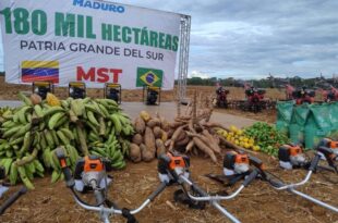 Com a ajuda do MST: Venezuela quer garantir soberania alimentar e nacional