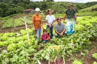 Terceirizadas são ‘maior desafio’ para compras públicas da agricultura familiar, diz Conab