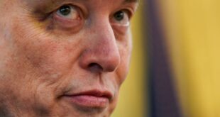 Coluna da Angélica: Elon Musk expõe a hipocrisia da guerra às drogas