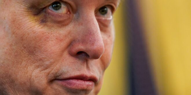 Coluna da Angélica: Elon Musk expõe a hipocrisia da guerra às drogas