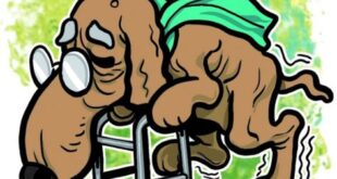 Coluna da Angélica: EUA ladra como um cachorro velho sem dentes