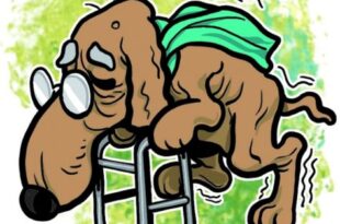 Coluna da Angélica: EUA ladra como um cachorro velho sem dentes