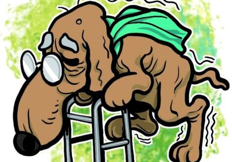 Coluna da Angélica: EUA ladra como um cachorro velho sem dentes