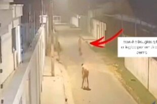 Violência no Acre: jovem de 19 anos é baleado em balada no interior do estado