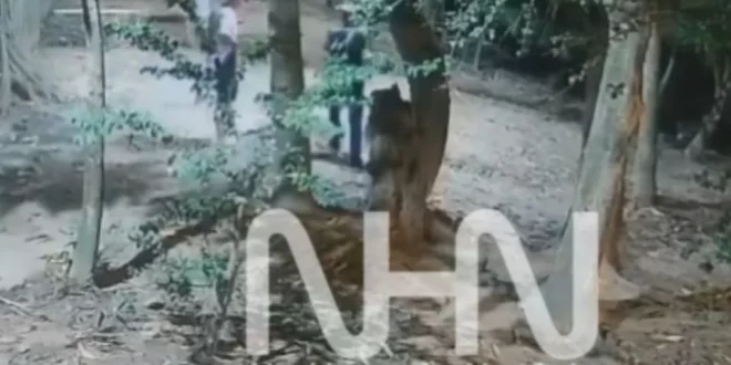 Vídeo mostra o exato momento em que faccionados infiltrados tentam matar rival