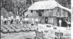 Três antigos seringais acreanos que se tornaram cidades completam 49 anos nesta quarta-feira, 14
