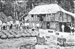 Três antigos seringais acreanos que se tornaram cidades completam 49 anos nesta quarta-feira, 14