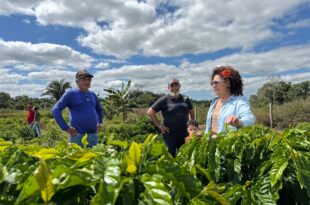 Perpétua visita produtores de café em Senador Guiomard e anuncia ampliação de investimentos na cadeia produtiva
