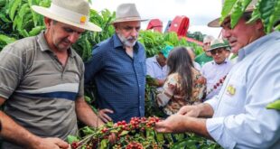 Governo do Estado promove treinamento para produtores de café do Alto Acre