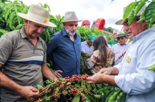Governo do Estado promove treinamento para produtores de café do Alto Acre