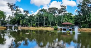 X edição da Ecoflores acontece de 25 a 29 de junho, no Horto Florestal