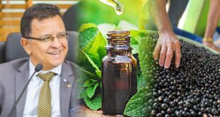 Aleac aprova PL de Gonzaga que institui o Programa de Farmácias Vivas e o que torna Feijó a "Capital do Açaí"