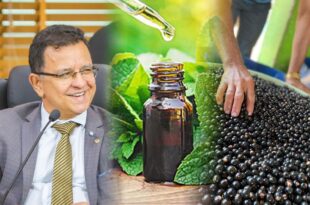 Aleac aprova PL de Gonzaga que institui o Programa de Farmácias Vivas e o que torna Feijó a "Capital do Açaí"