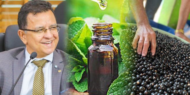 Aleac aprova PL de Gonzaga que institui o Programa de Farmácias Vivas e o que torna Feijó a "Capital do Açaí"