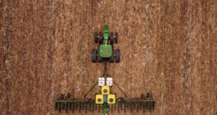 Na real: agro puxa o PIB mas pouco contribui com bem-estar da população