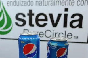 Stévia: indígenas descobriram e multinacionais se apropriaram
