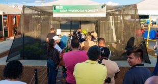 No encerramento da Expoacre Juruá, Viveiro da Floresta realiza a doação de três mil mudas
