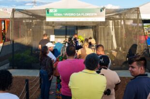 No encerramento da Expoacre Juruá, Viveiro da Floresta realiza a doação de três mil mudas