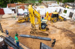 Semeia autoriza corte de mais de 200 árvores em área de preservação e MPF reage
