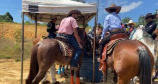 Idaf inicia inscrições de animais para Cavalgada da Expoacre
