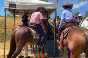 Idaf inicia inscrições de animais para Cavalgada da Expoacre