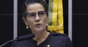 Ativismo judicial e a defesa da democracia brasileira