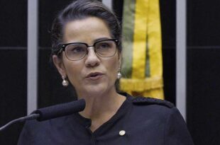 Ativismo judicial e a defesa da democracia brasileira