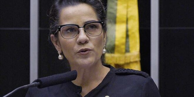 Ativismo judicial e a defesa da democracia brasileira