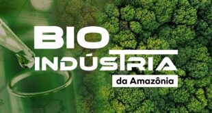 Estudo inédito da ABDI identifica cerca de 11 mil empreendimentos ligados à sociobiodiversidade na Amazônia