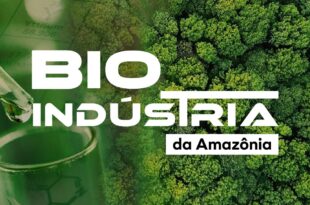Estudo inédito da ABDI identifica cerca de 11 mil empreendimentos ligados à sociobiodiversidade na Amazônia