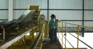 Capacitação fortalece cooperativismo da agricultura familiar no Complexo Industrial do Café do Juruá (AC)