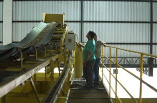 Capacitação fortalece cooperativismo da agricultura familiar no Complexo Industrial do Café do Juruá (AC)