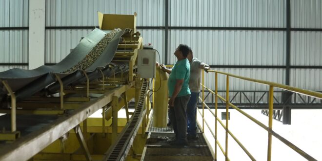 Capacitação fortalece cooperativismo da agricultura familiar no Complexo Industrial do Café do Juruá (AC)