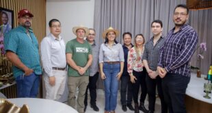 Consultor da BYD participa de reunião da vice-governadora com empresários chineses