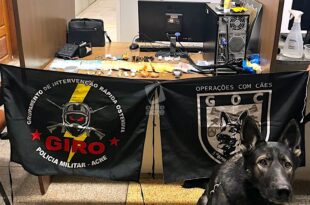 Polícia apreende drogas, munições e dinheiro em bar próximo a escola