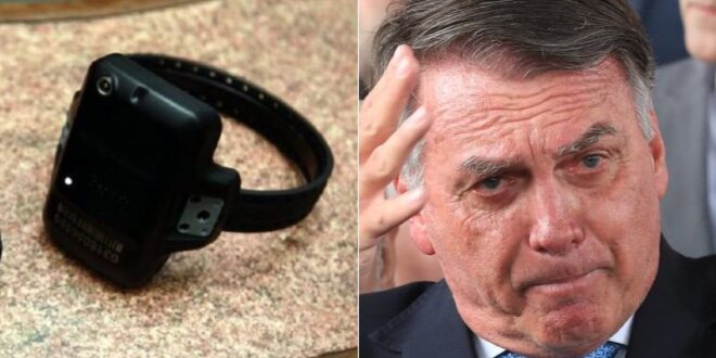 Ex-ministro de Bolsonaro diz que o ex-chefe ‘colhe o que plantou’