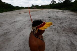 Mercado de Carbono é modelo de exploração comparável à mineração e agronegócio dizem indígenas do MA
