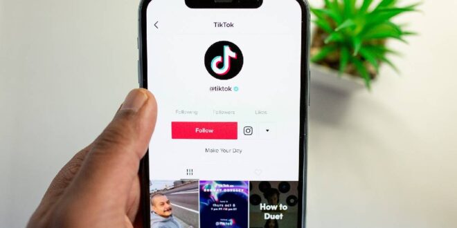TikTok notificará pais sobre publicações de filhos adolescentes