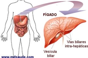 Problemas no fígado: como reconhecer os primeiros sintomas
