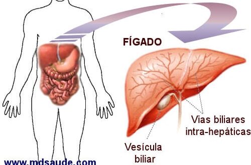 Problemas no fígado: como reconhecer os primeiros sintomas