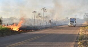 Alerta: fumaça de queimadas reduz visibilidade nas estradas